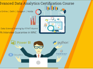 Job Oriented Data Analyst Course in Delhi.110012 .